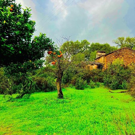 Quinta Castanheiro Da Penha - Alegrete - Portalegre - Alentejo Villa Kültér fotó