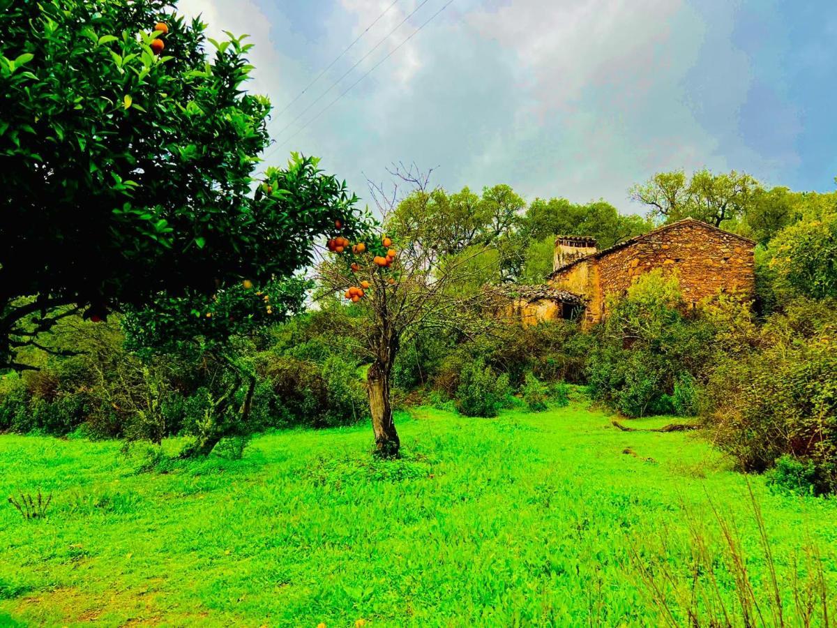 Quinta Castanheiro Da Penha - Alegrete - Portalegre - Alentejo Villa Kültér fotó